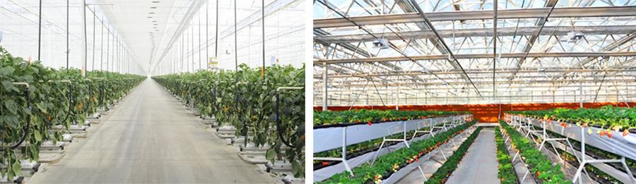 aluminum greenhouse pc manufacture