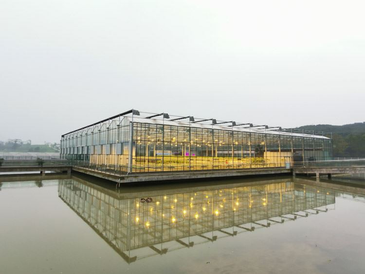 Features and benefits of glass greenhouses Features and benefits of glass greenhouses