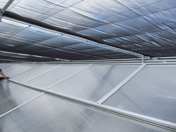 winter warm greenhouse construction