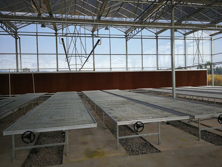 Glass Greenhouses