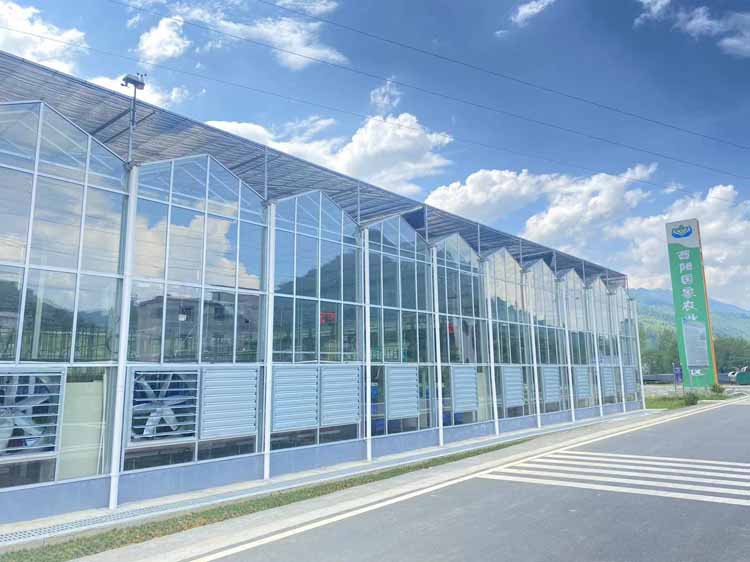 Methods of dehumidification in fruit greenhouses Methods of dehumidification in fruit greenhouses