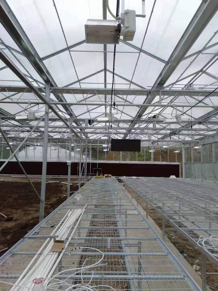 indoor greenhouse indoor greenhouse