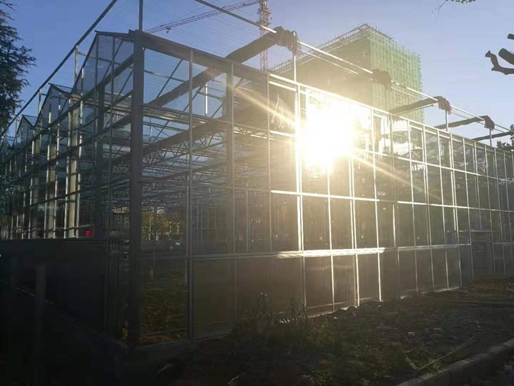 What is a smart greenhouse