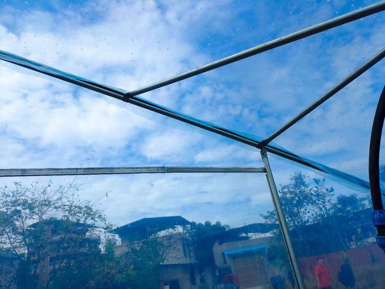 Steel Frame Greenhouses Steel Frame Greenhouses