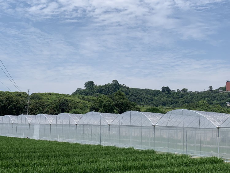 Parameters and utilization of galvanized pipes in greenhouses