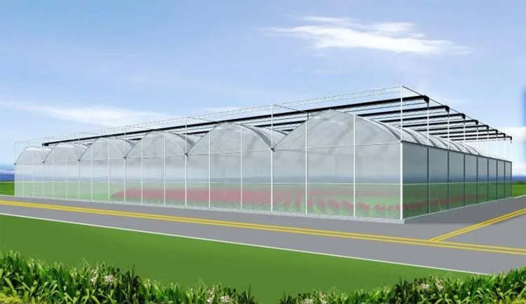 Muti-span Plastic Film Greenhouse