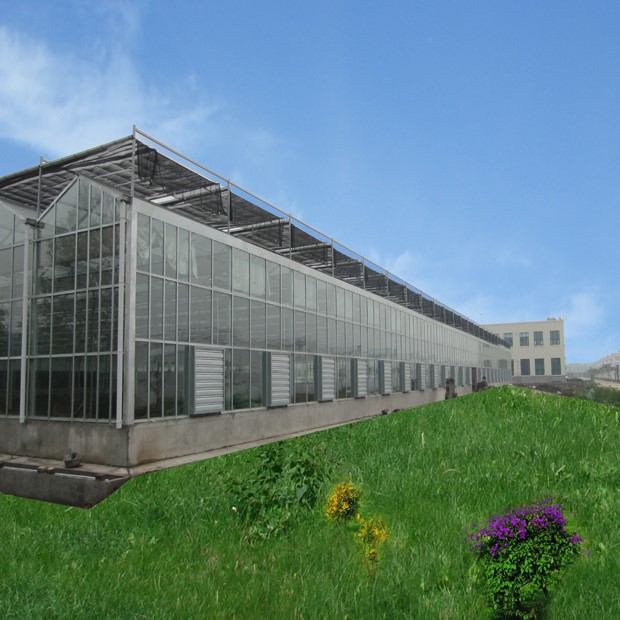 multi-span greenhouse multi-span greenhouse