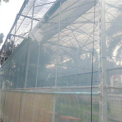 6 milie de plastic limpede pentru seră