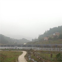Sera Casei Umbra