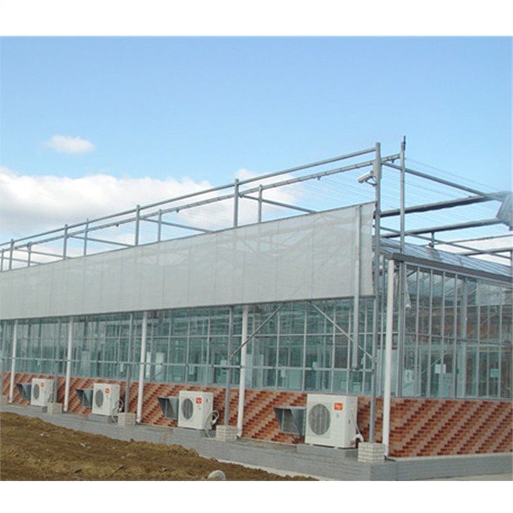 venlo pc sheet greenhouse made in China