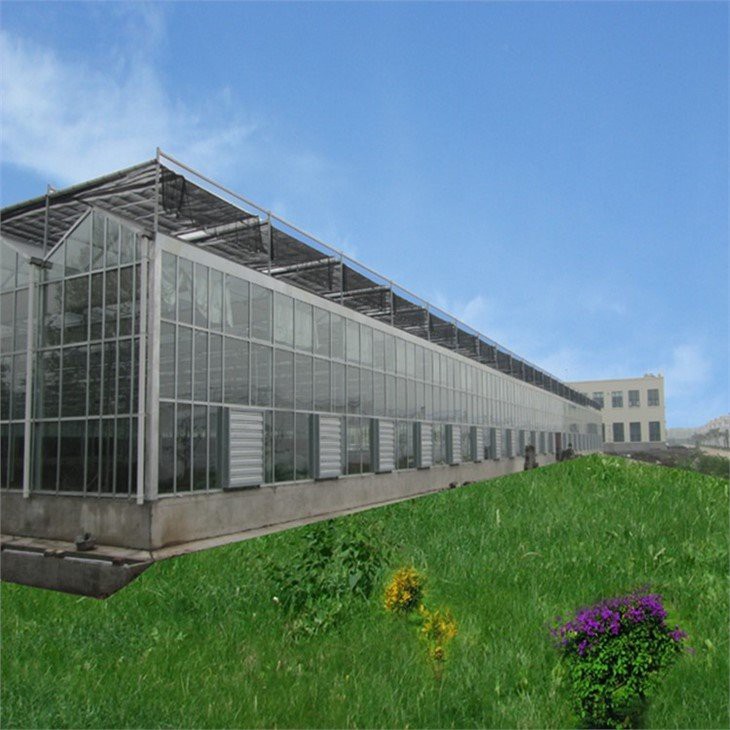 victorian glass venlo type greenhouse supplier
